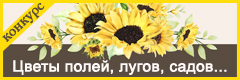 III Всероссийский творческий конкурс "Цветы полей, лугов, садов..."