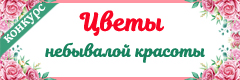 XI Всероссийский творческий конкурс "Цветы небывалой красоты"