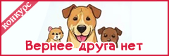 II Всероссийский творческий конкурс "Вернее друга нет"