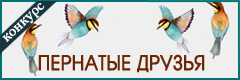 XVI Всероссийский творческий конкурс "Пернатые друзья"