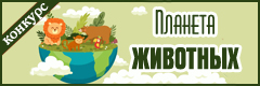 XIII Всероссийский творческий конкурс "Планета животных"