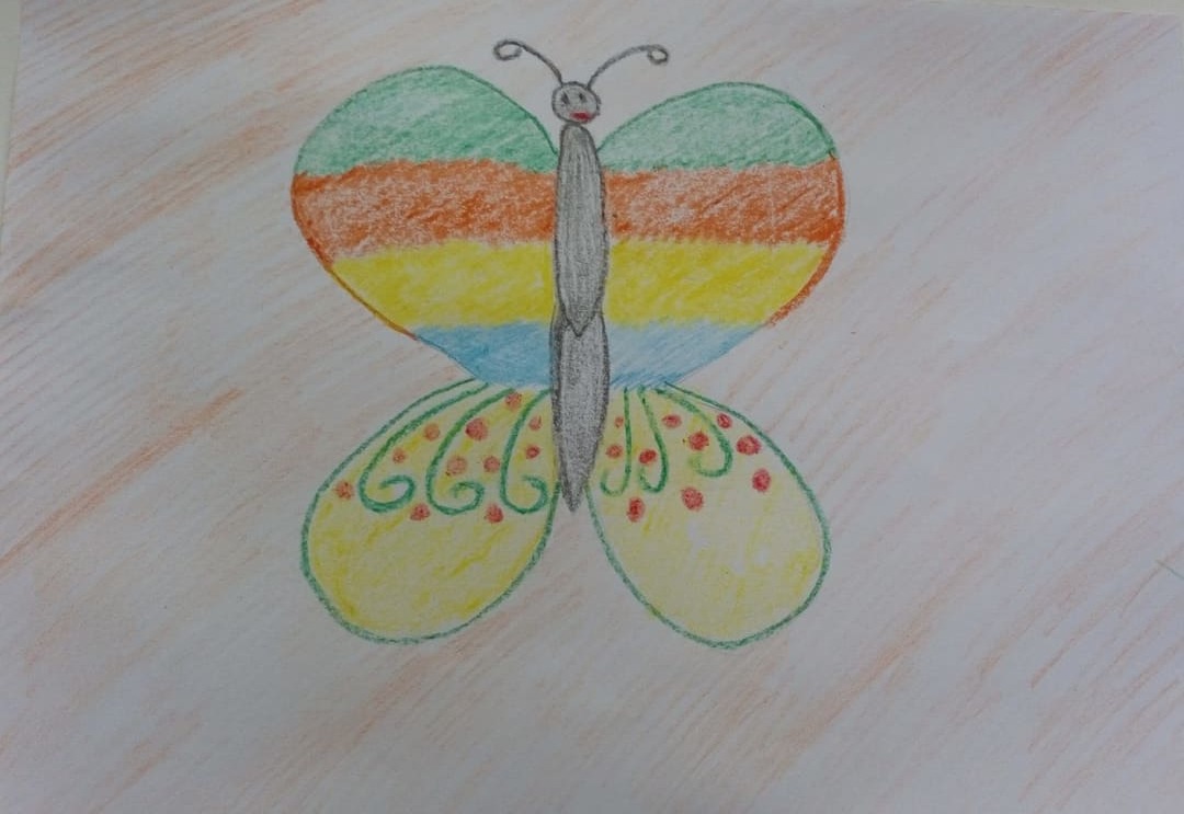 Рисование бабочка старшая группа