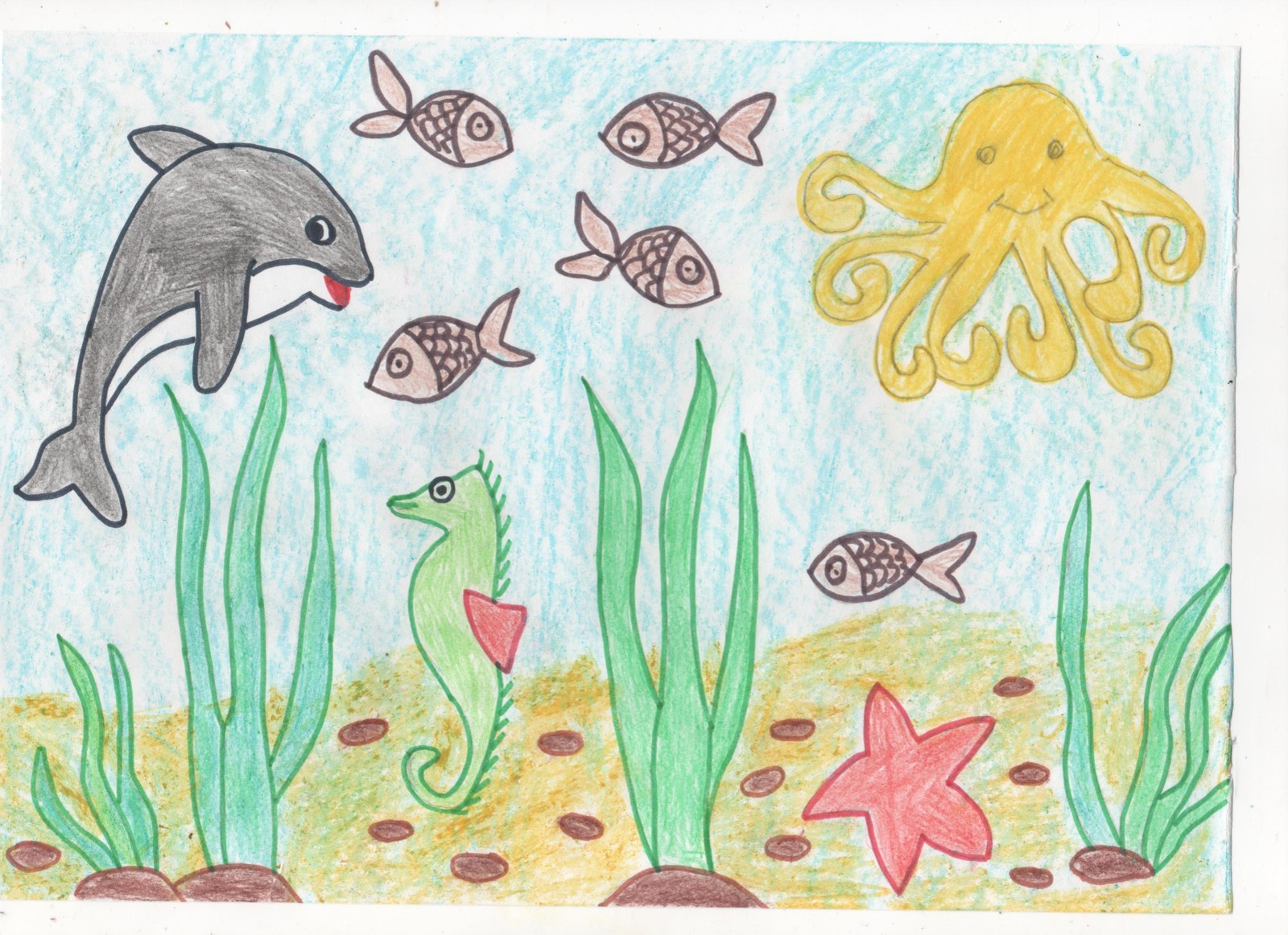 Живой мир морей и океанов подготовительная. Рисование в подводном царстве. Рисование морские обитатели в подготовительной. Рисование подводное царство подготовительная группа. Подводный мир рисунок.