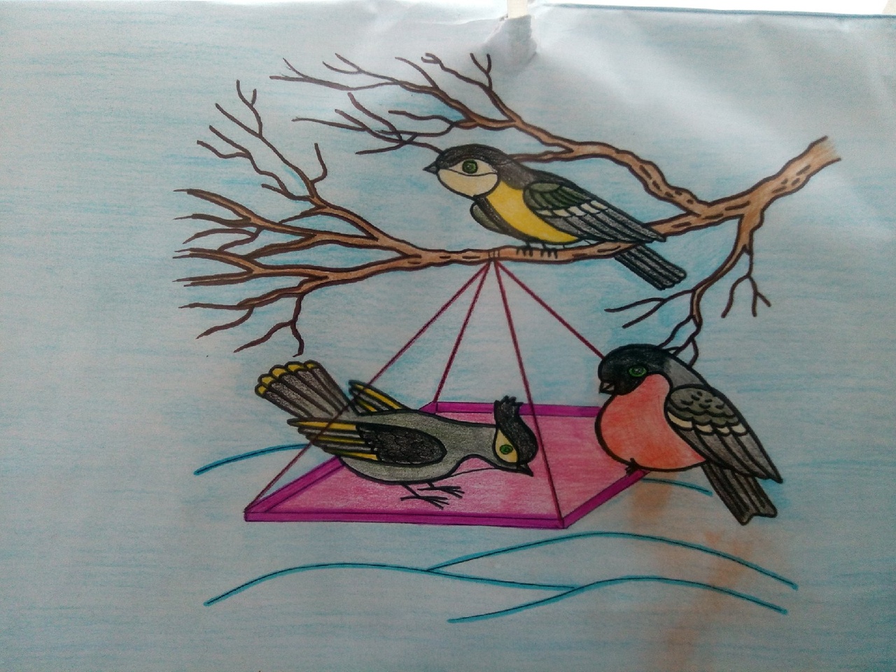 Рисунок встречаем пернатых. Птицы наши пернатые друзья. Рисунок на тему птицы наши друзья. Встреча пернатых друзей. Рисование на тема птицы наши друзьч.