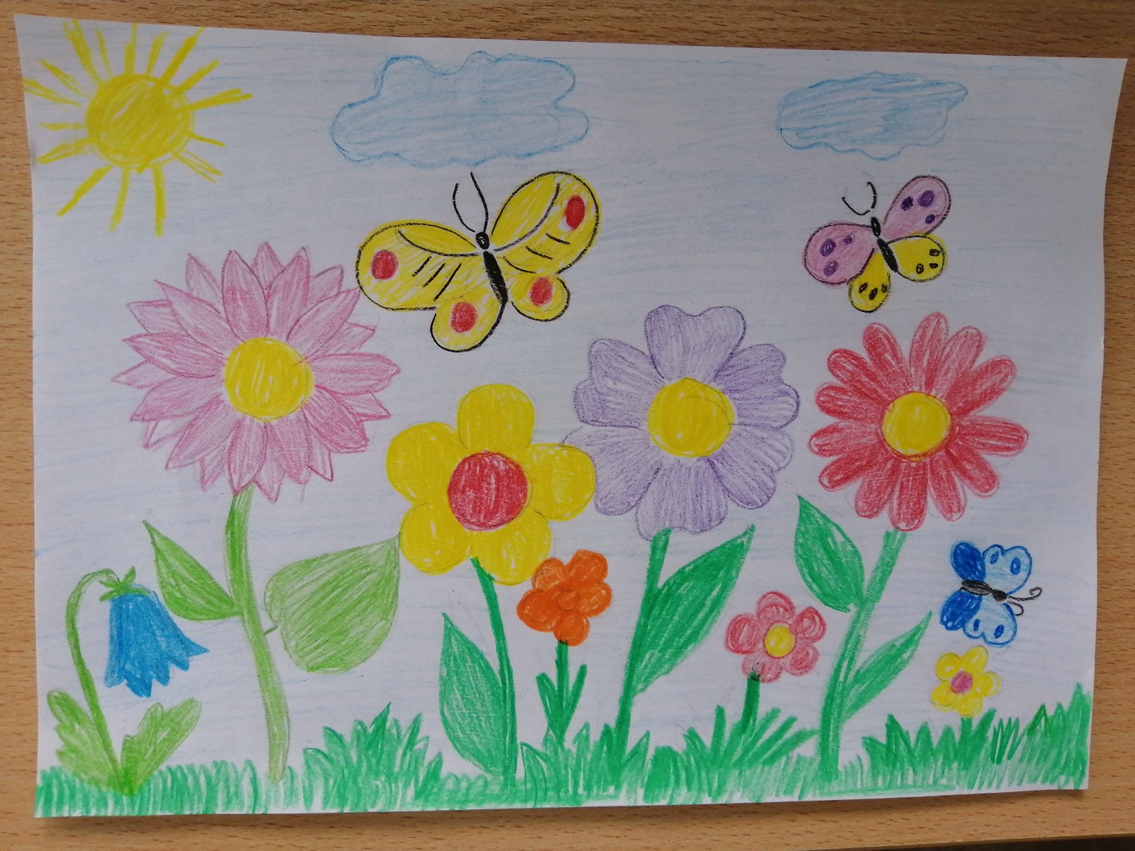 Рисование луг старшая группа. Рисование бабочки на лугу. Бабочки на лугу рисунок. Нарисовать луг с цветами и бабочками. Цветочное поле с бабочками рисунок.