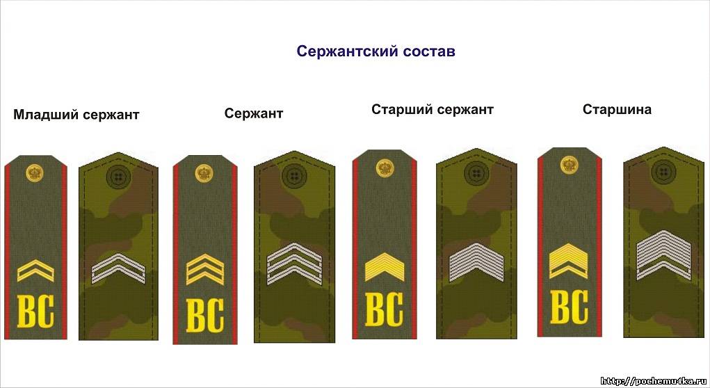 Звания в армии россии 2024